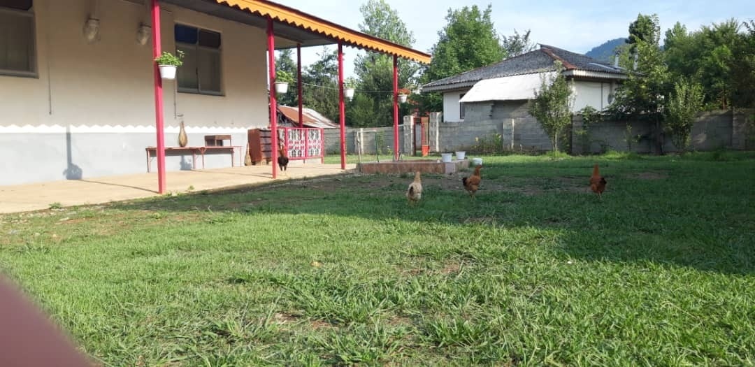 اجاره منزل اجاره ای ویلایی درماسال 