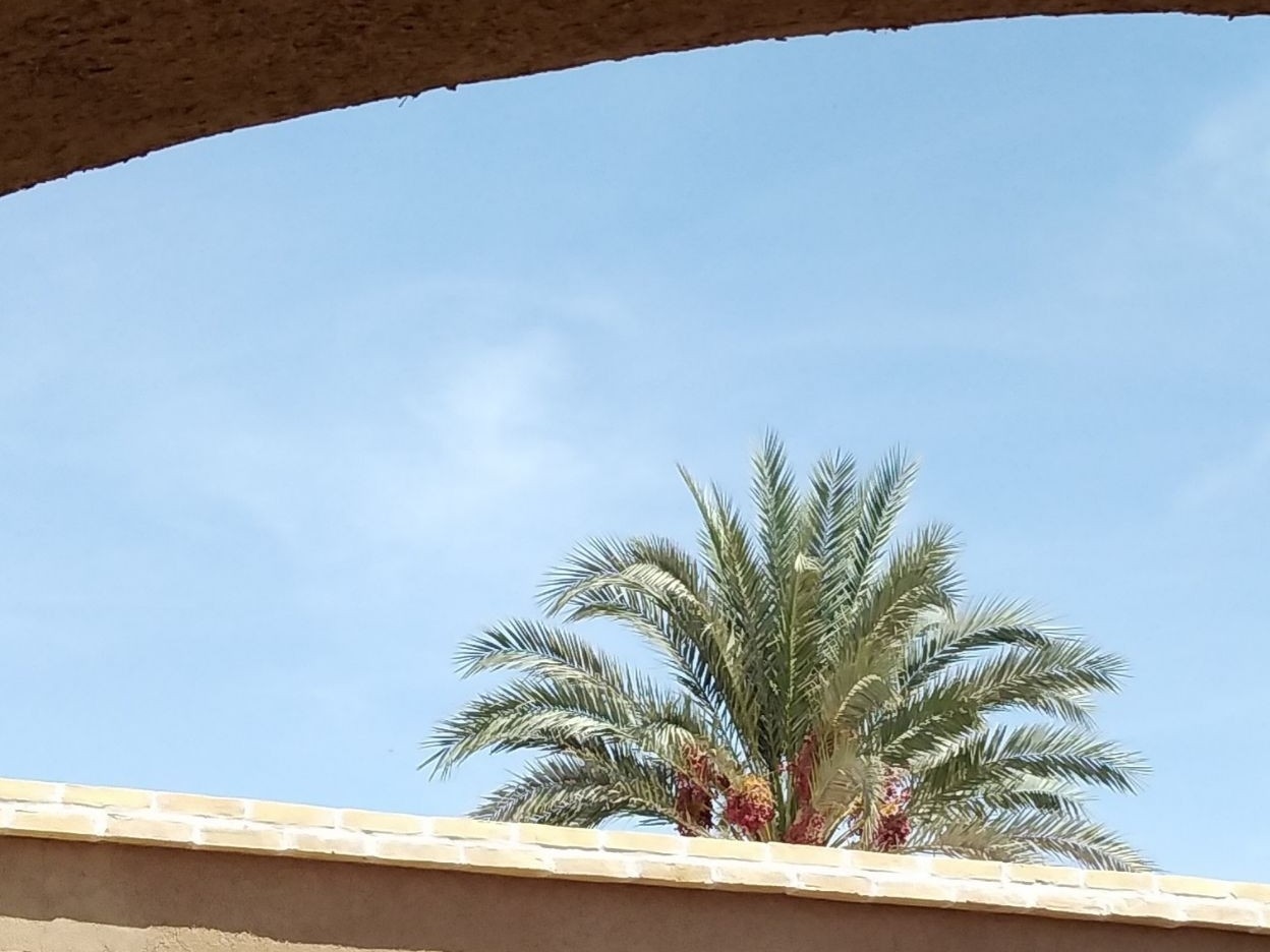 اجاره سوئیت سنتی در امام یزد - اتاق 4