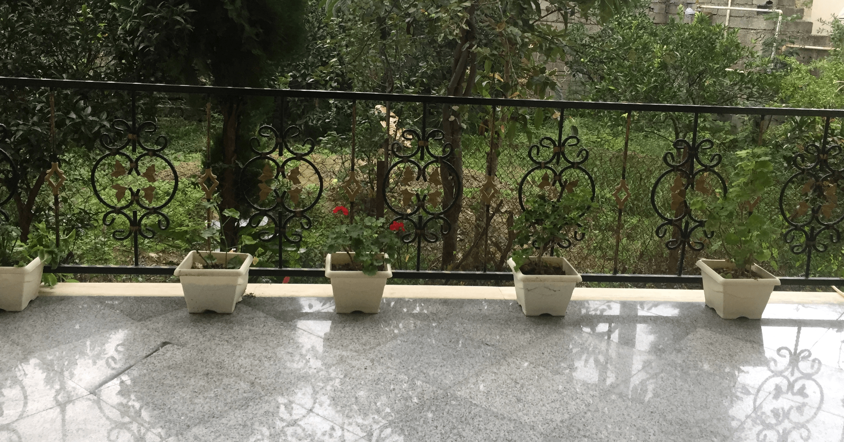 اجاره منزل ویلایی در عباسپور رامسر