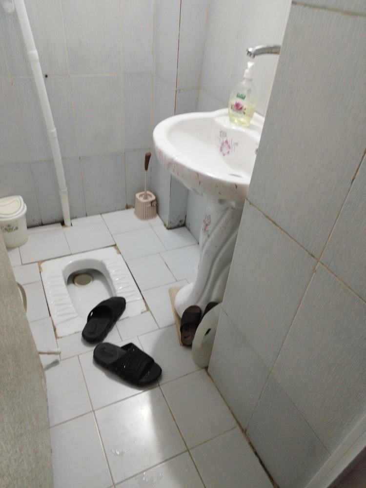 اجاره آپارتمان تک خواب در بندرعباس