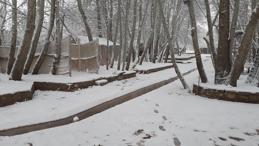 اجاره کلبه باغ سنتی در پسکوهک شیراز