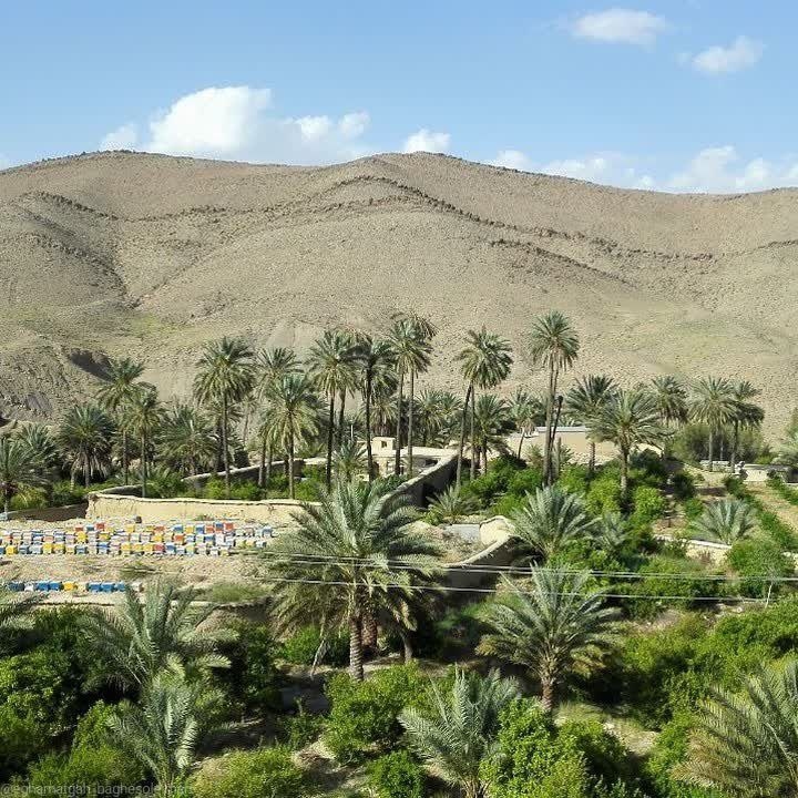 اقامتگاه بومگردی در روستای بادنجان جهرم- آفتاب