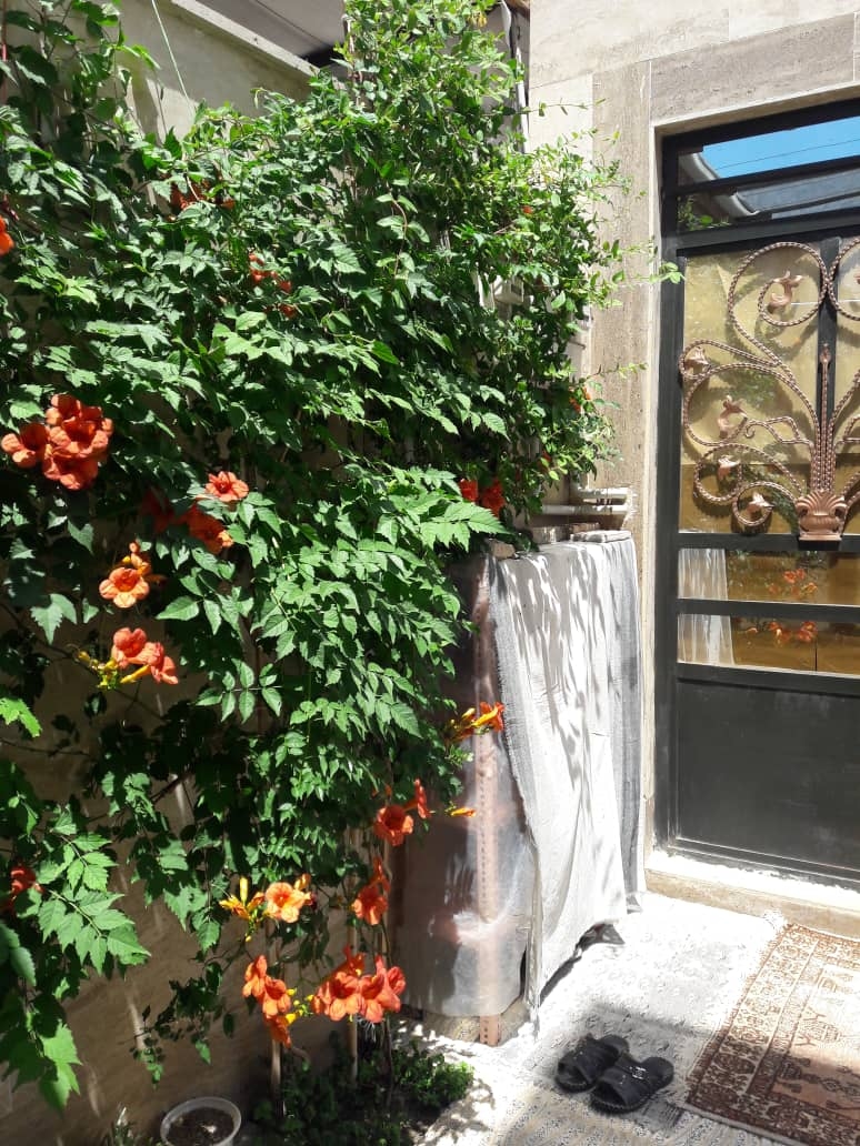 اجاره منزل ویلایی با پارکینگ در خیام دامغان 