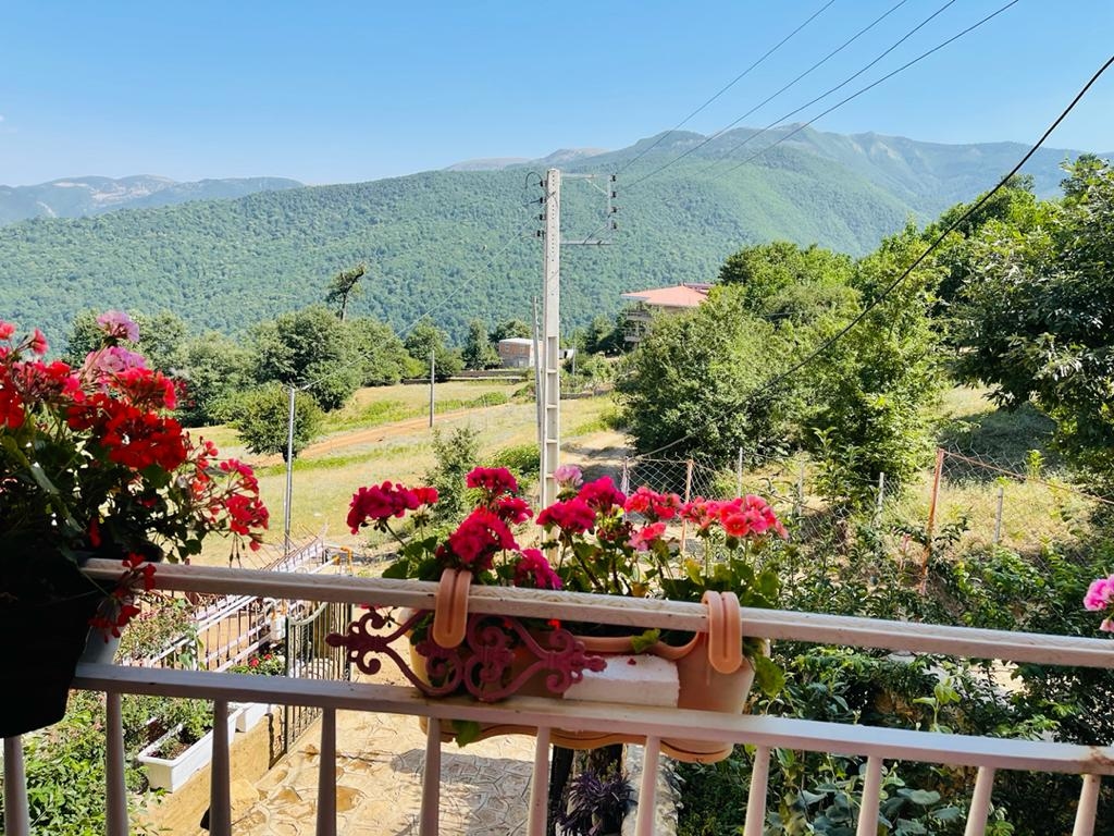 اجاره منزل ویلایی یک خوابه در افراخته علی آباد کتول -طبقه اول