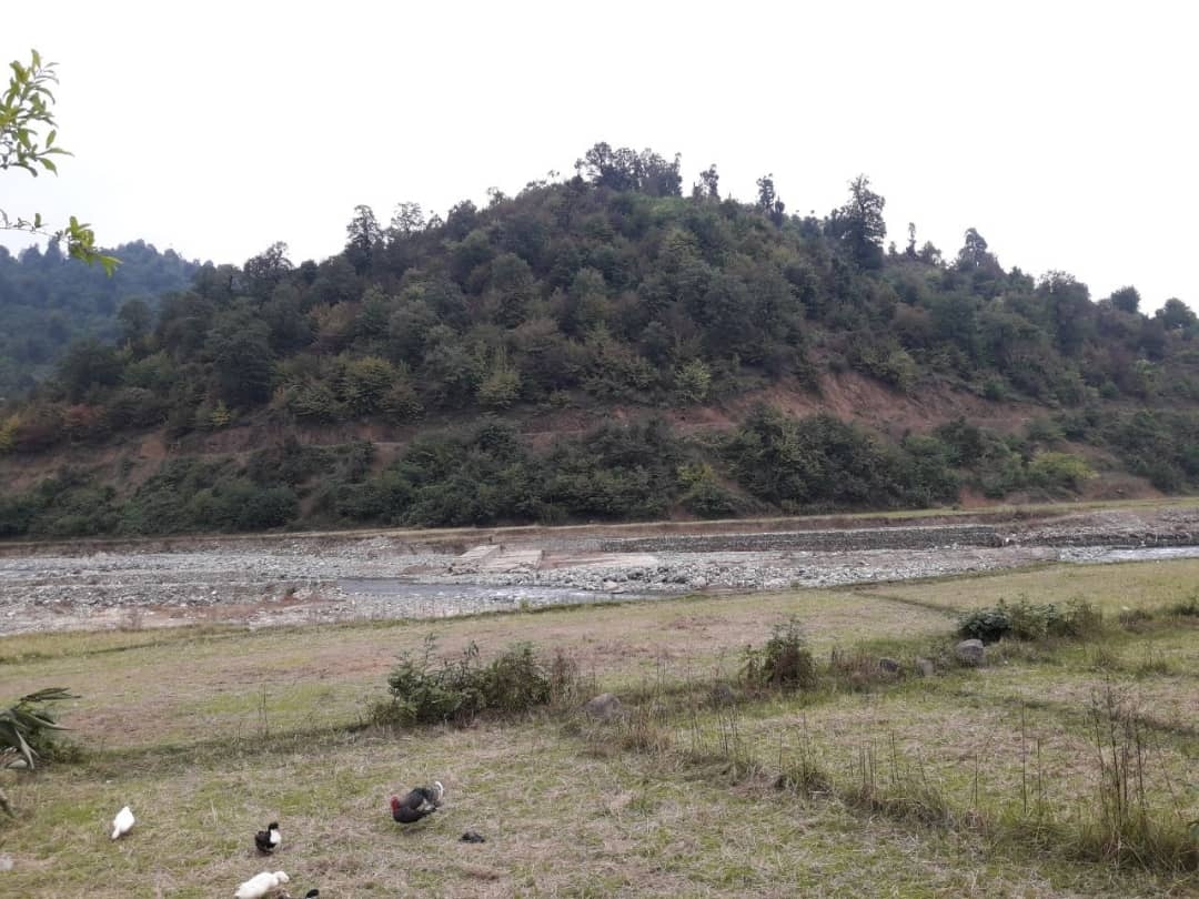 اجاره ویلا جنگلی در اسالم 