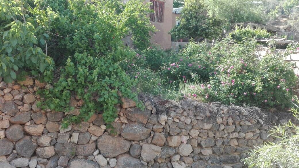  بومگردی سنتی روستای لایزنگان علیا داراب