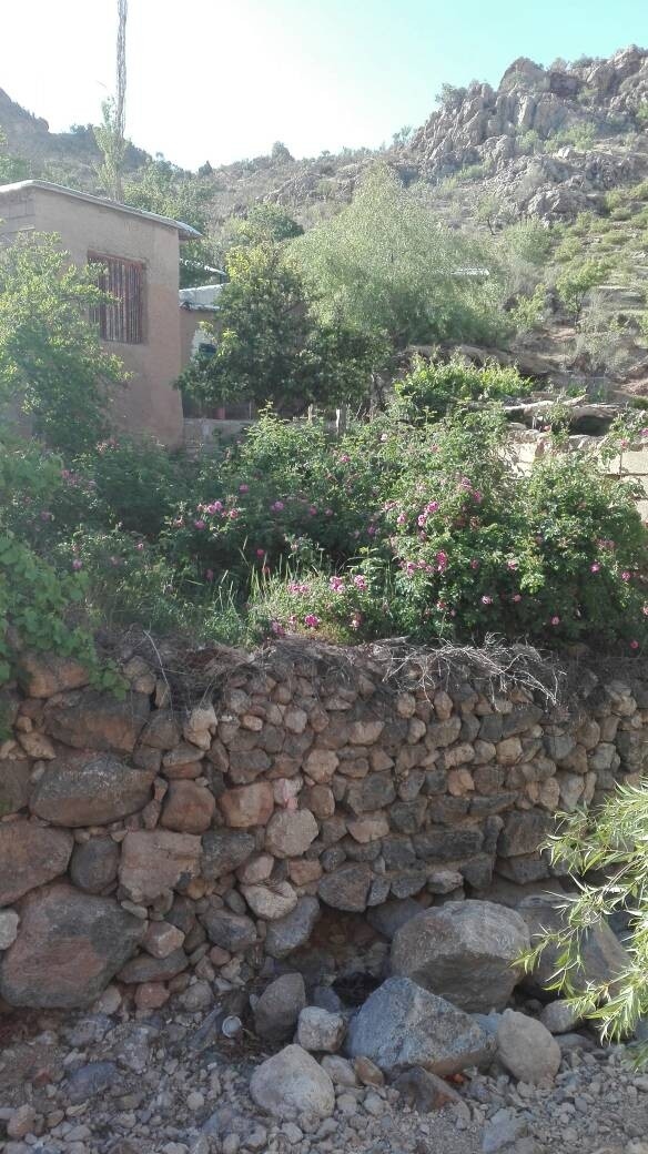  بومگردی سنتی روستای لایزنگان علیا داراب