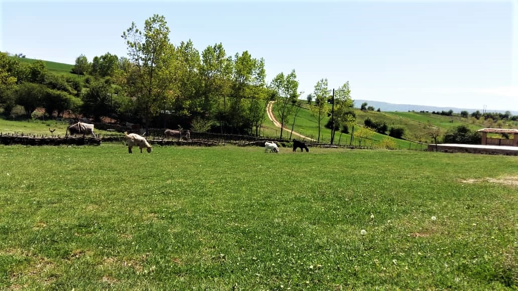 اجاره اتاق بومگردی در یخکش بهشهر - سرو