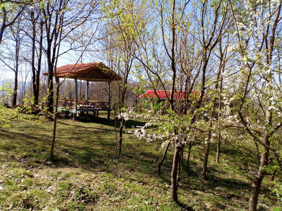 اجاره اتاق بومگردی در روستای شیخعلی توسه رودبار