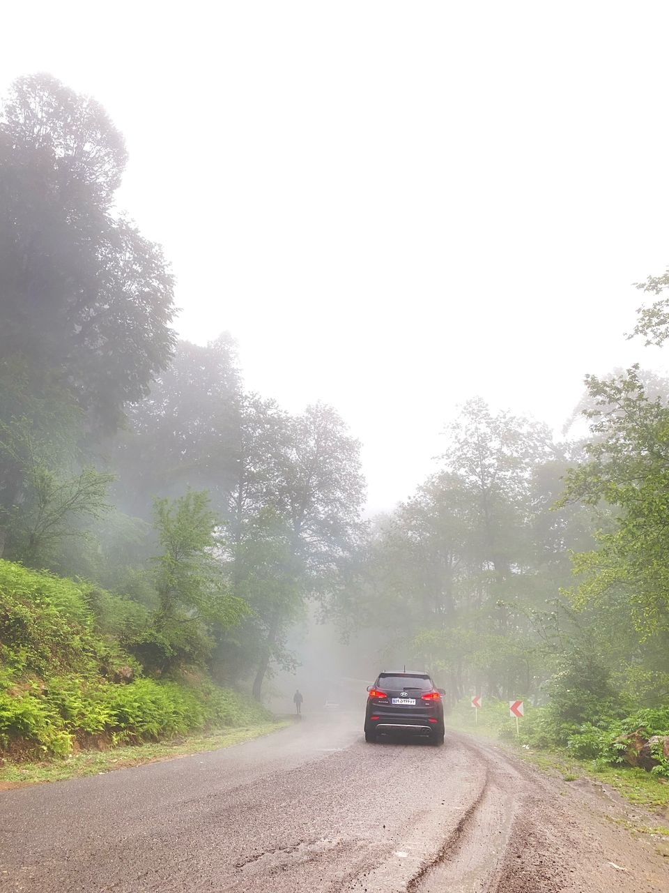 اجاره کلبه چوبی جکوزی دار دوبلکس در اسب ریسه ماسال