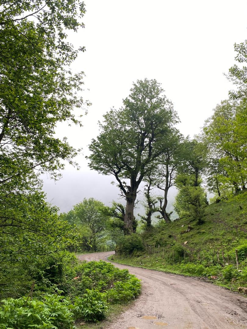 اجاره کلبه چوبی جکوزی دار دوبلکس در اسب ریسه ماسال