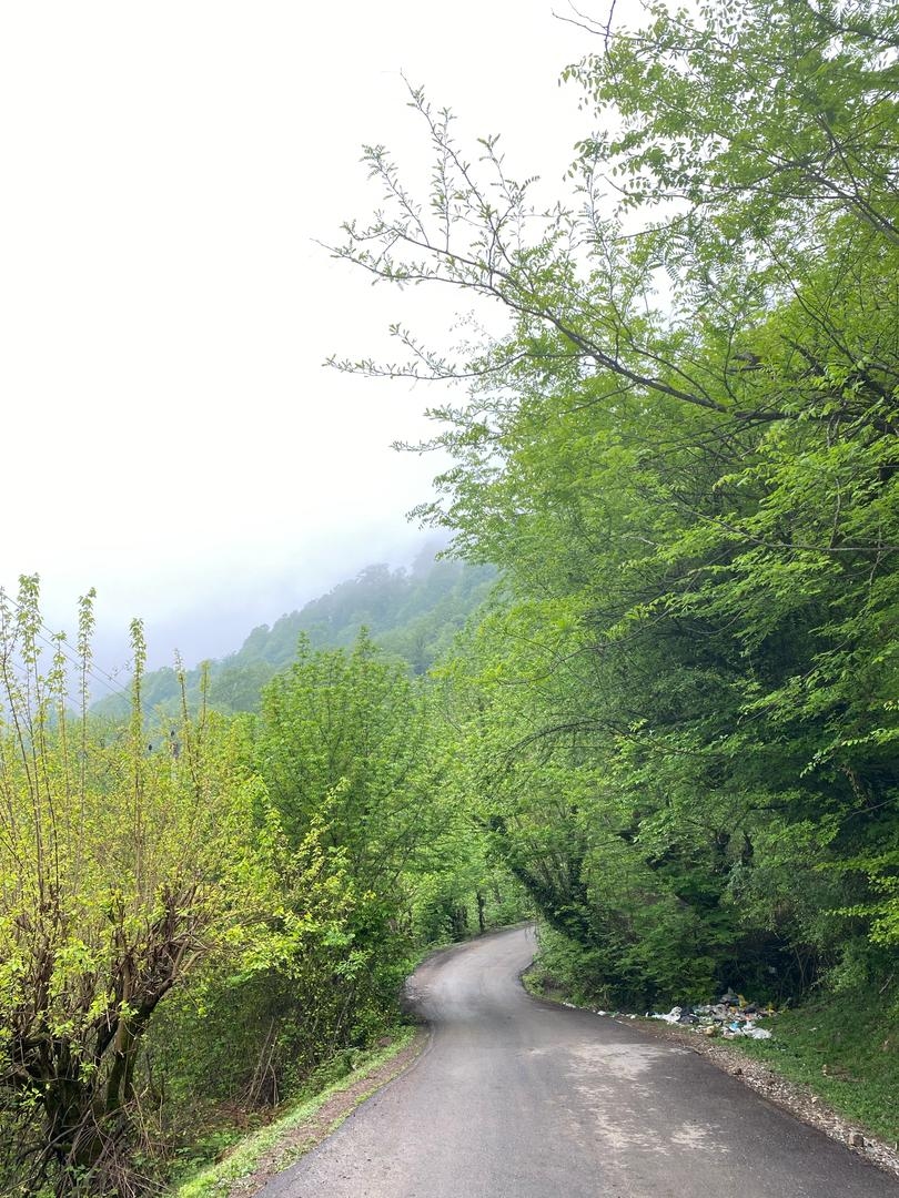 اجاره کلبه چوبی جکوزی دار دوبلکس در اسب ریسه ماسال