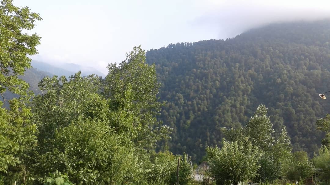 اجاره کلبه چوبی جنگلی در خروم ماسال