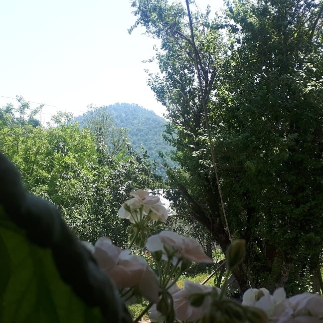 اجاره کلبه چوبی جنگلی در خروم ماسال