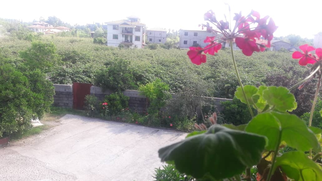 اجاره سوییت باغ جنگلی در سفید تمشک رامسر