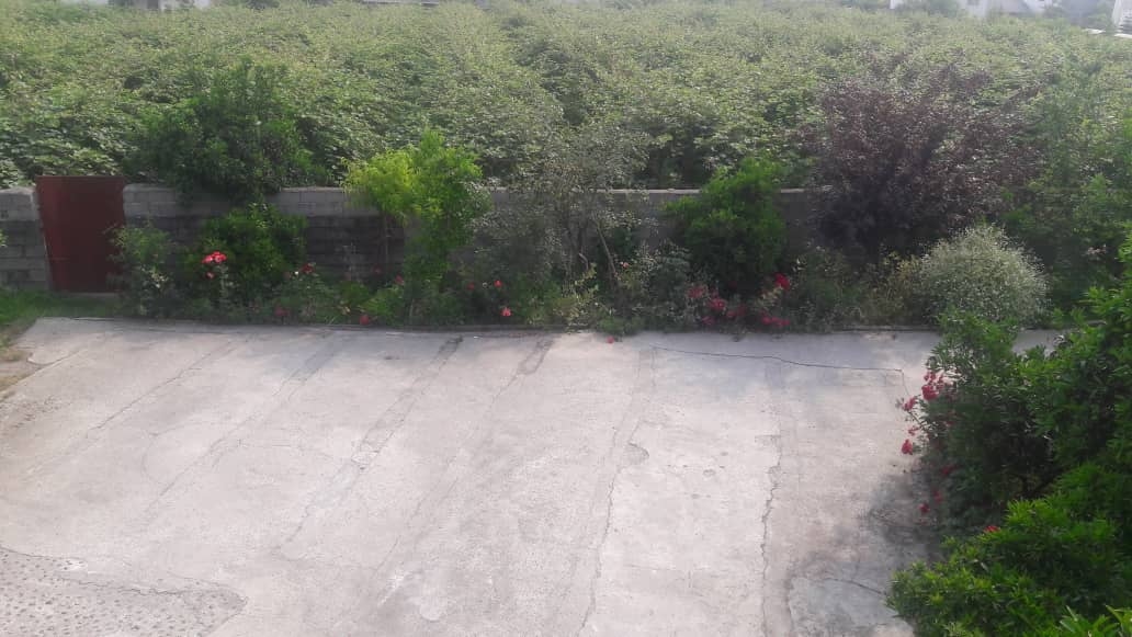 اجاره سوییت باغ جنگلی در سفید تمشک رامسر