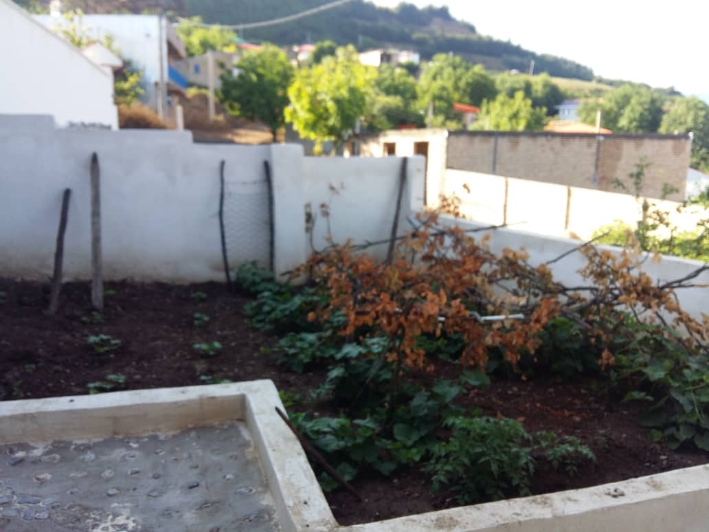 اجاره خانه ویلایی و روستایی دربست در الهادی رامیان 