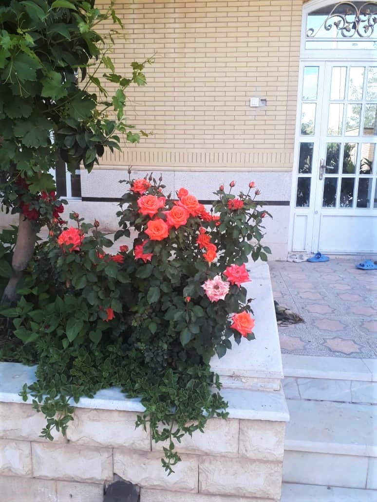اجاره منزل  ویلایی در بلوار ایران صدرا -یک خوابه طبقه دوم70 متری
