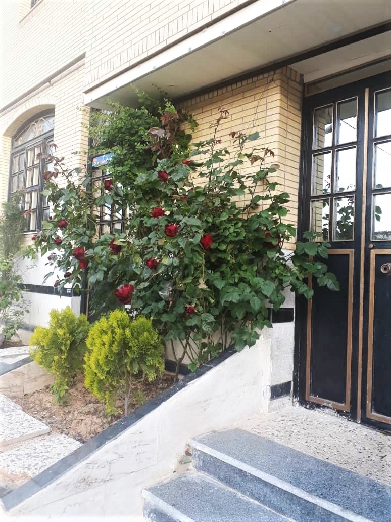 اجاره منزل  ویلایی در بلوار ایران صدرا -یک خوابه طبقه دوم70 متری