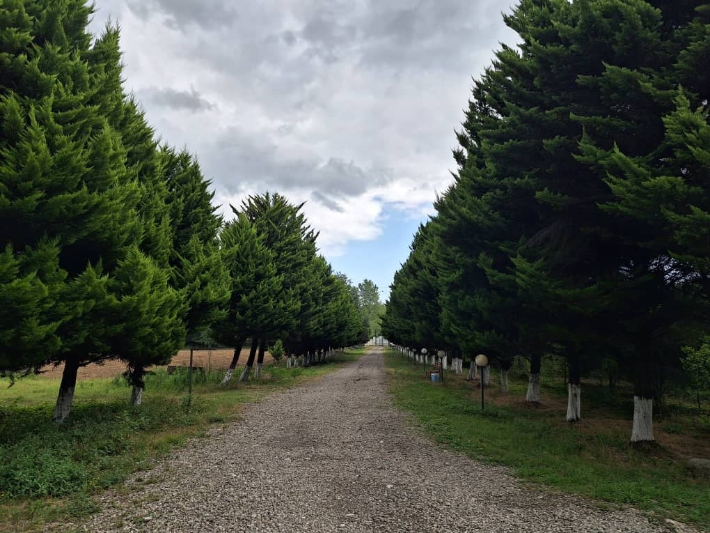 اجاره ویلا در اسالم - شمس تبریزی