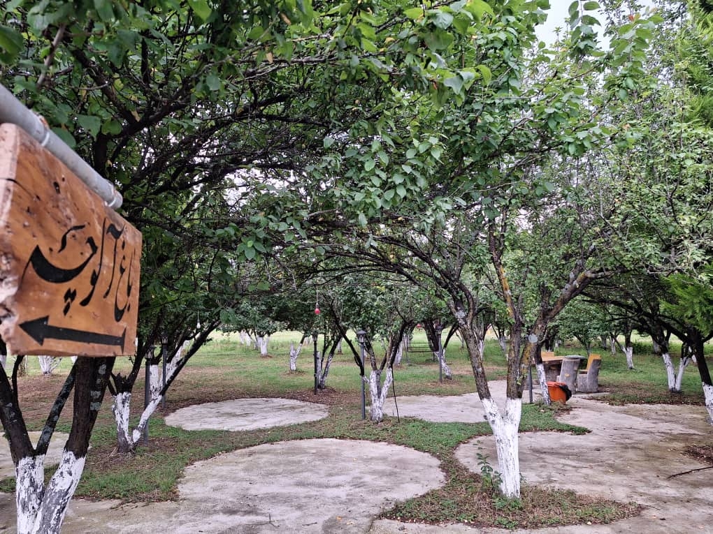 اجاره سوئیت ویلایی در تالش - فردوسی