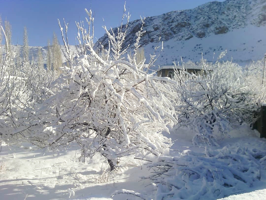 اجاره خانه باغ در کمهر سپیدان