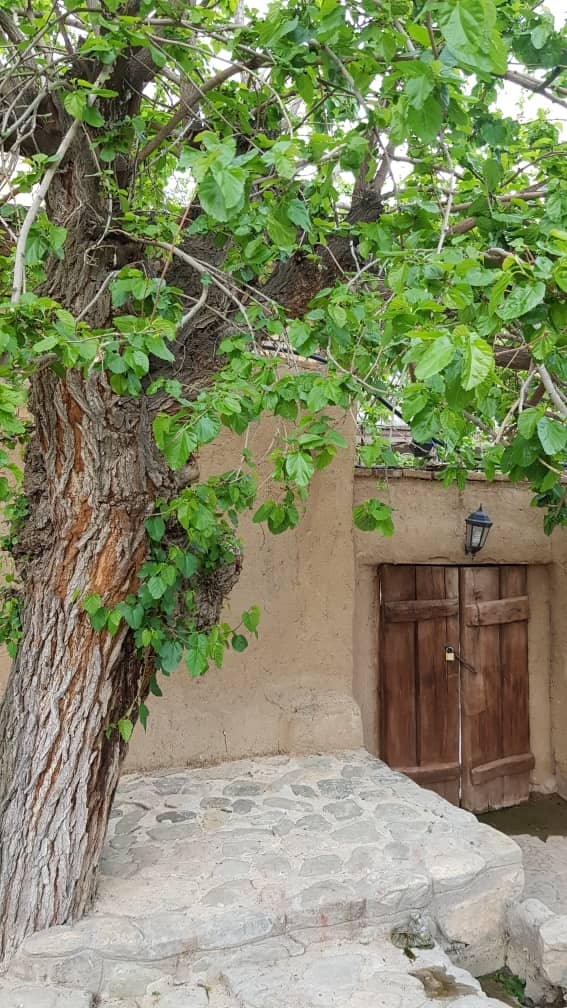 اجاره خانه روستایی در ابرده شاندیز مشهد