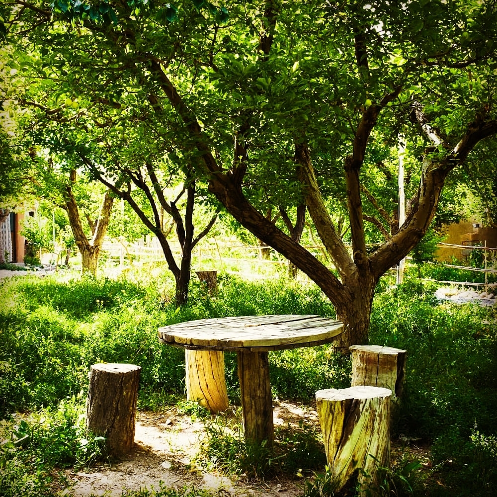 اجاره اقامتگاه بومگردی و اتاق سنتی در درخانیاب مجن