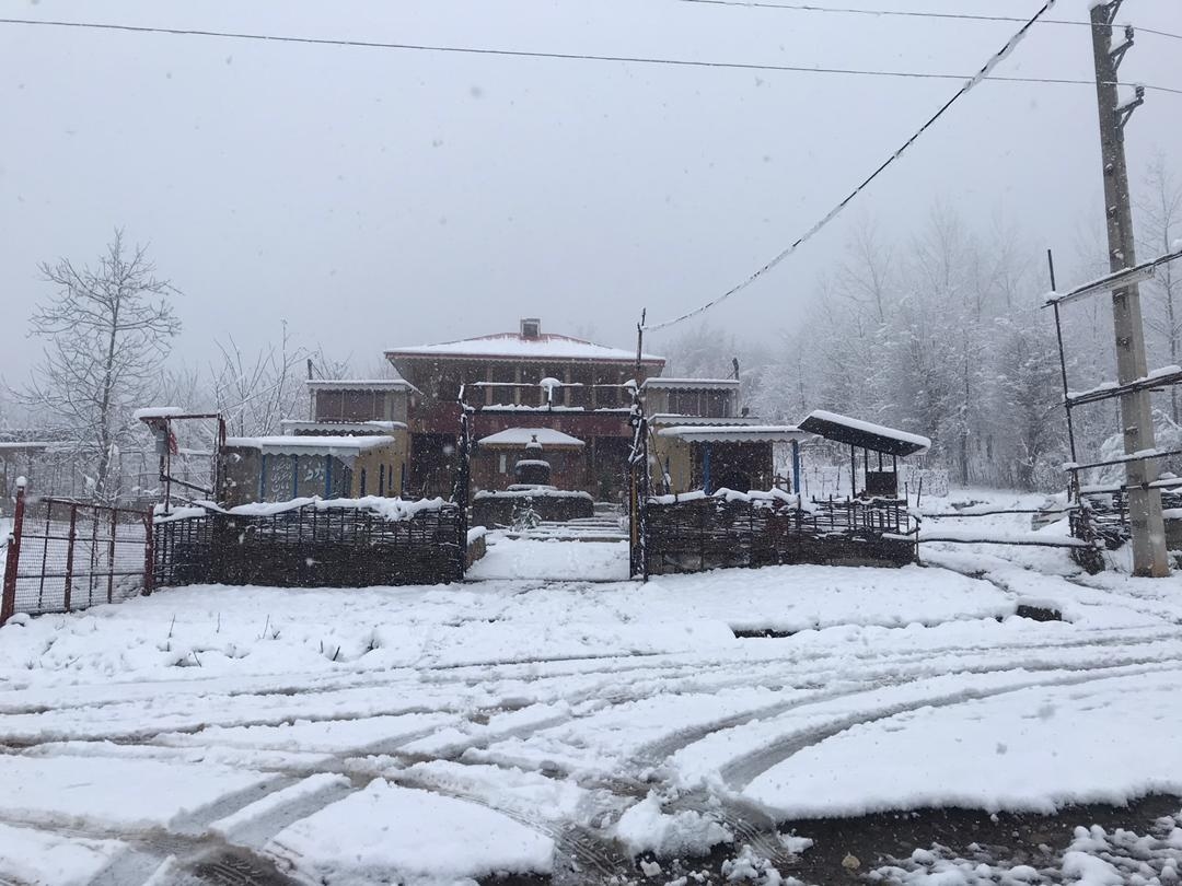 اجاره کلبه چوبی جنگلی در کندلات رستم آباد