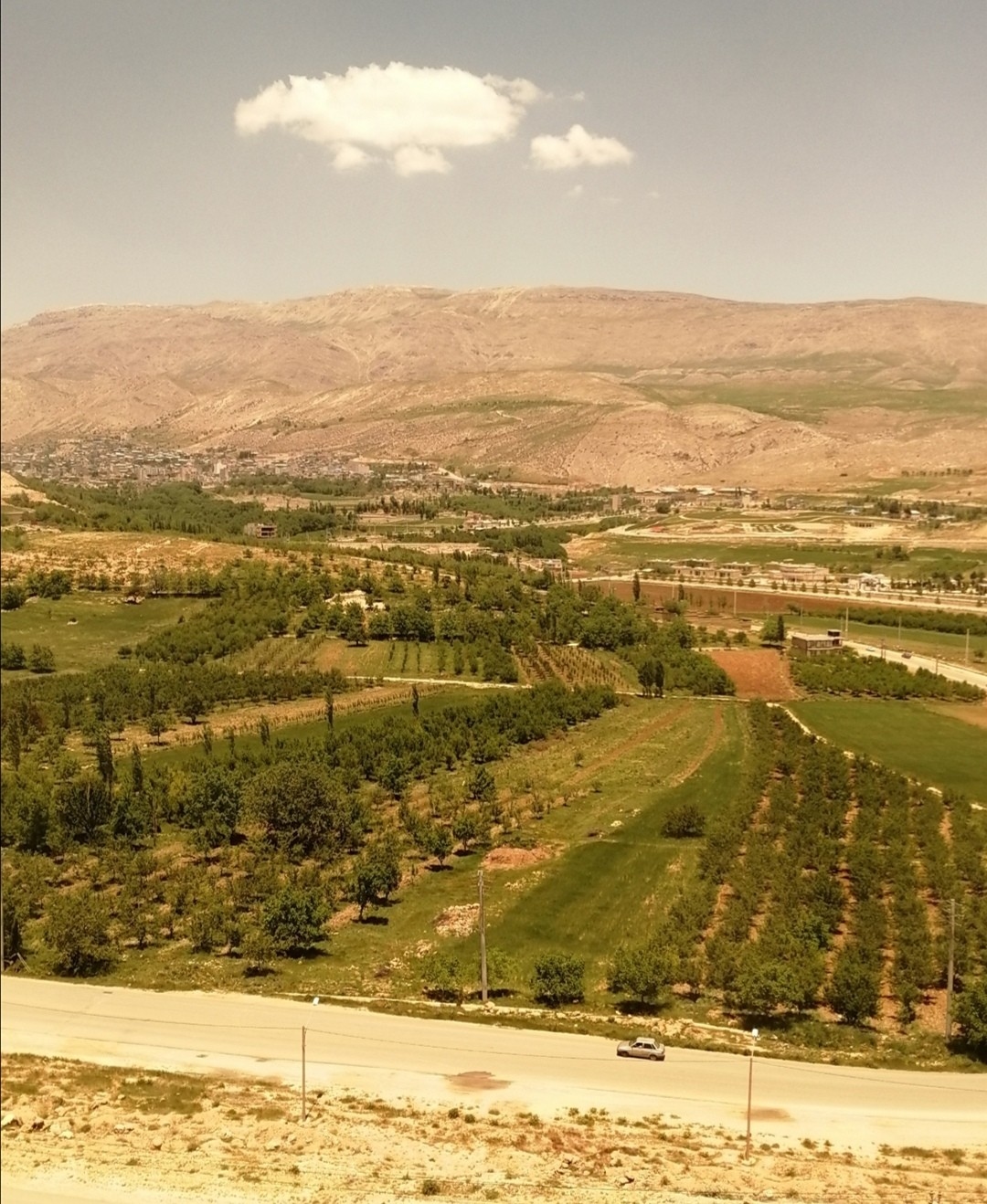 اجاره  آپارتمان مبله دو خوابه  در بلوار امام حسین سپیدان-طبقه ششم