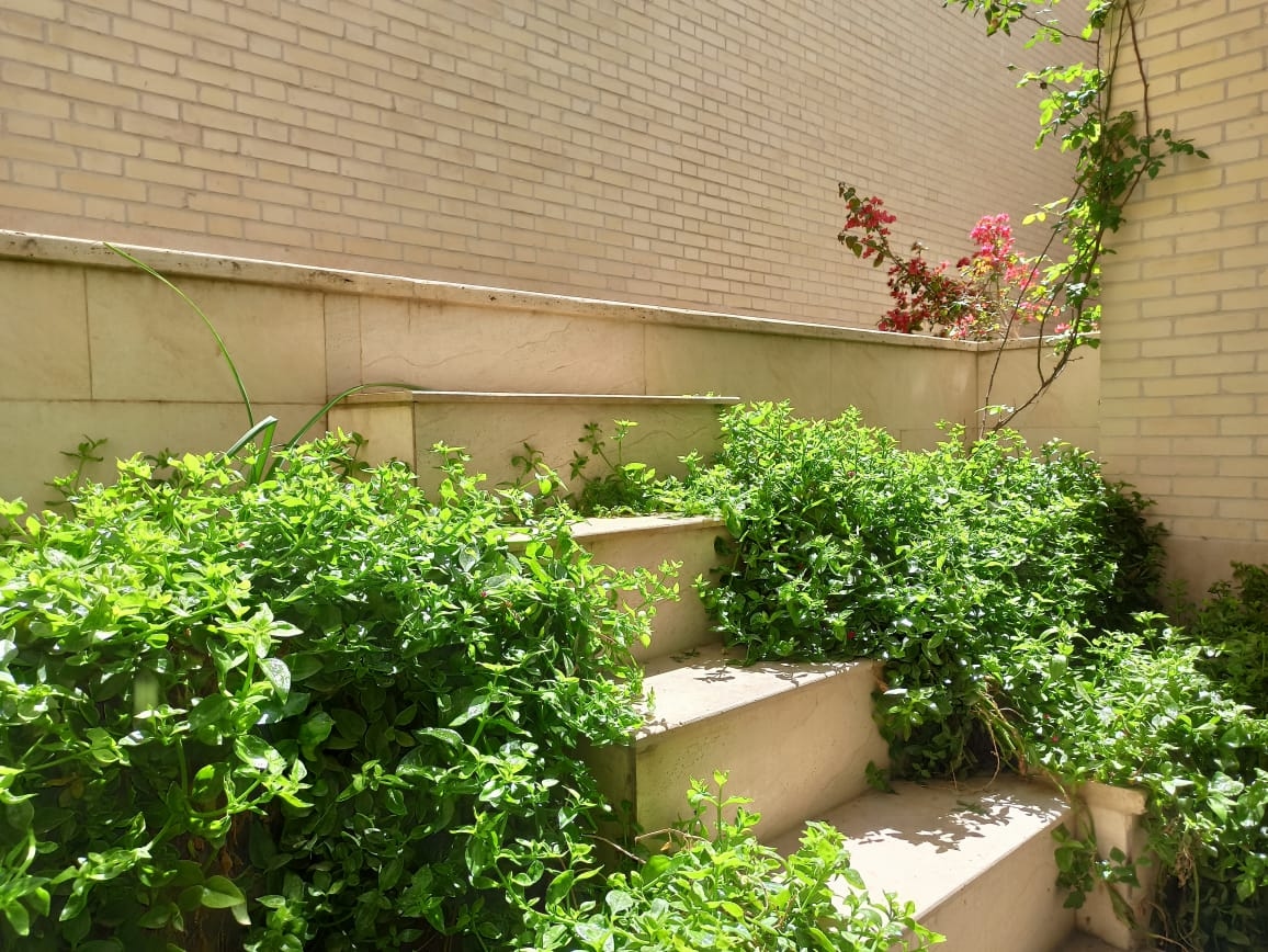 اجاره آپارتمان مبله در سید گلسرخ