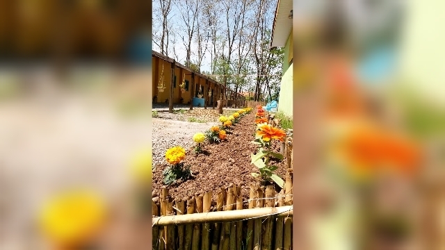 اجاره اتاق بومگردی در ویشکاننک گیلان - دلربا