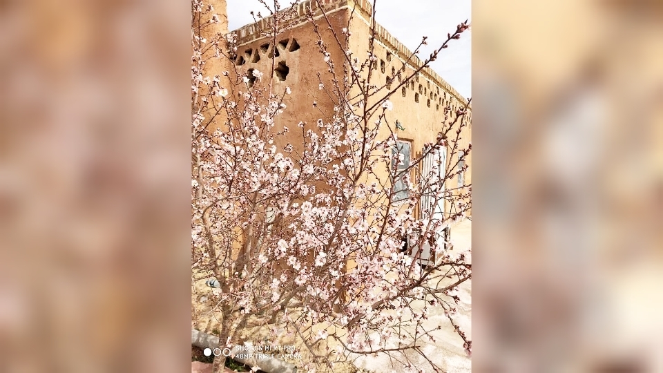 اجاره خانه روستایی در منزلاب زاهدان