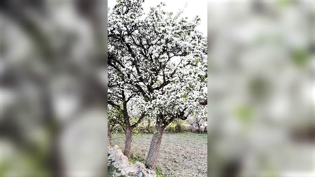 اجاره اتاق کوهستانی سنتی در درمن خنداب - 2