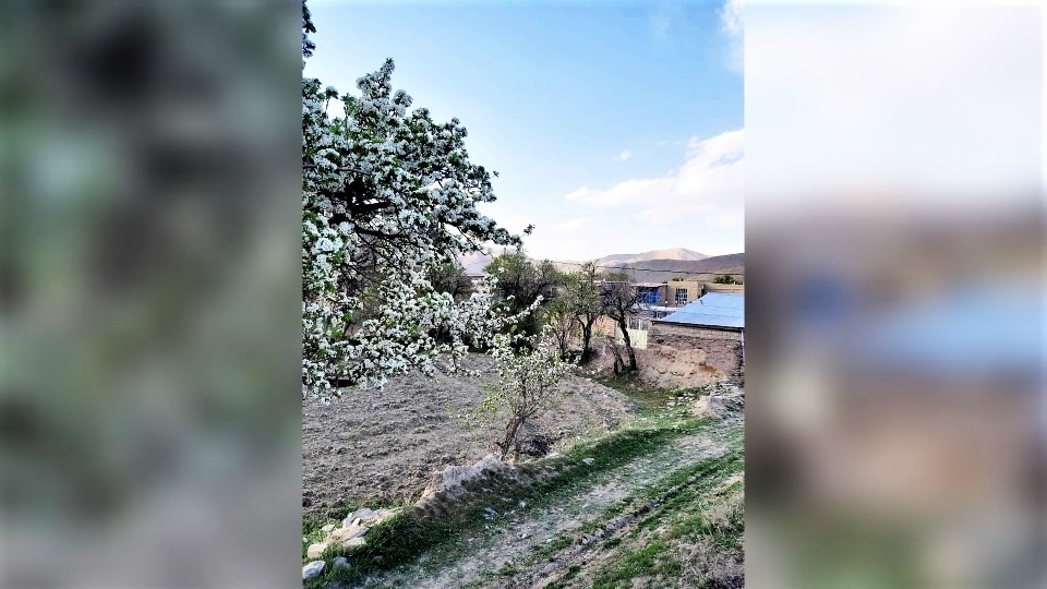 اجاره اقامتگاه کوهستانی در درمن جاورسیان - 3