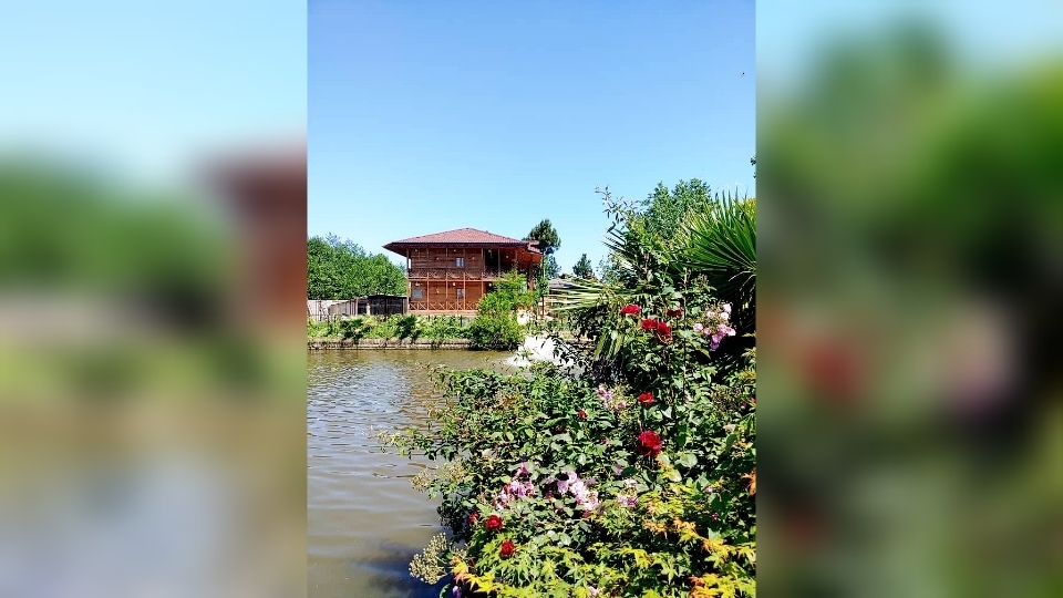 اجاره کلبه چوبی بومگردی در ملاسرا شفت