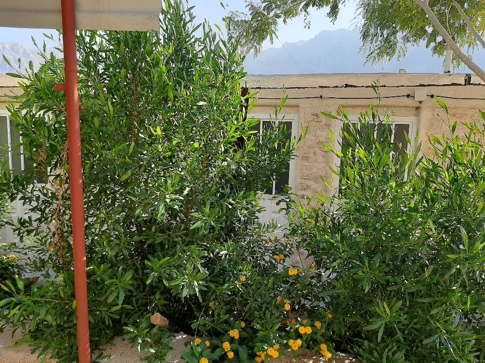 خانه روستایی در تنگ چوگان کازرون