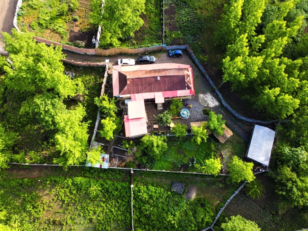 اجاره اقامتگاه جنگلی در بورخانی لفور - شرقی