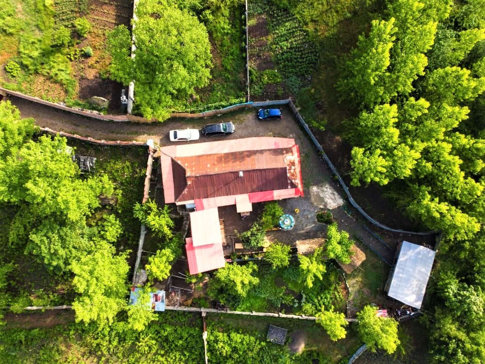 اجاره کلبه جنگلی در بورخانی سوادکوه - غربی