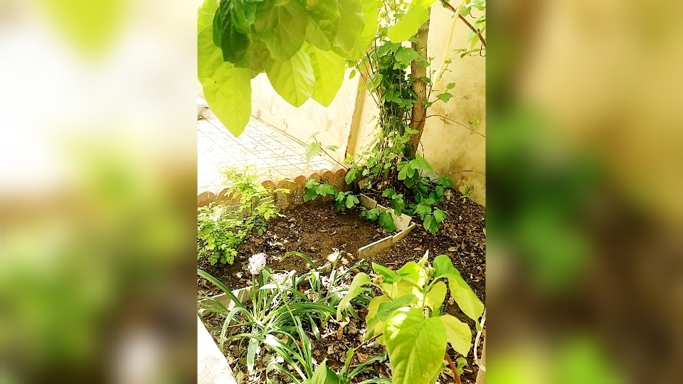 اجاره منزل ویلایی مبله در قاضی زاهد گلپایگان