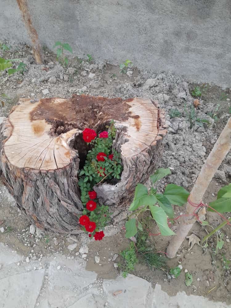 اجاره اتاق بومگردی در آبشار مارگون سپیدان
