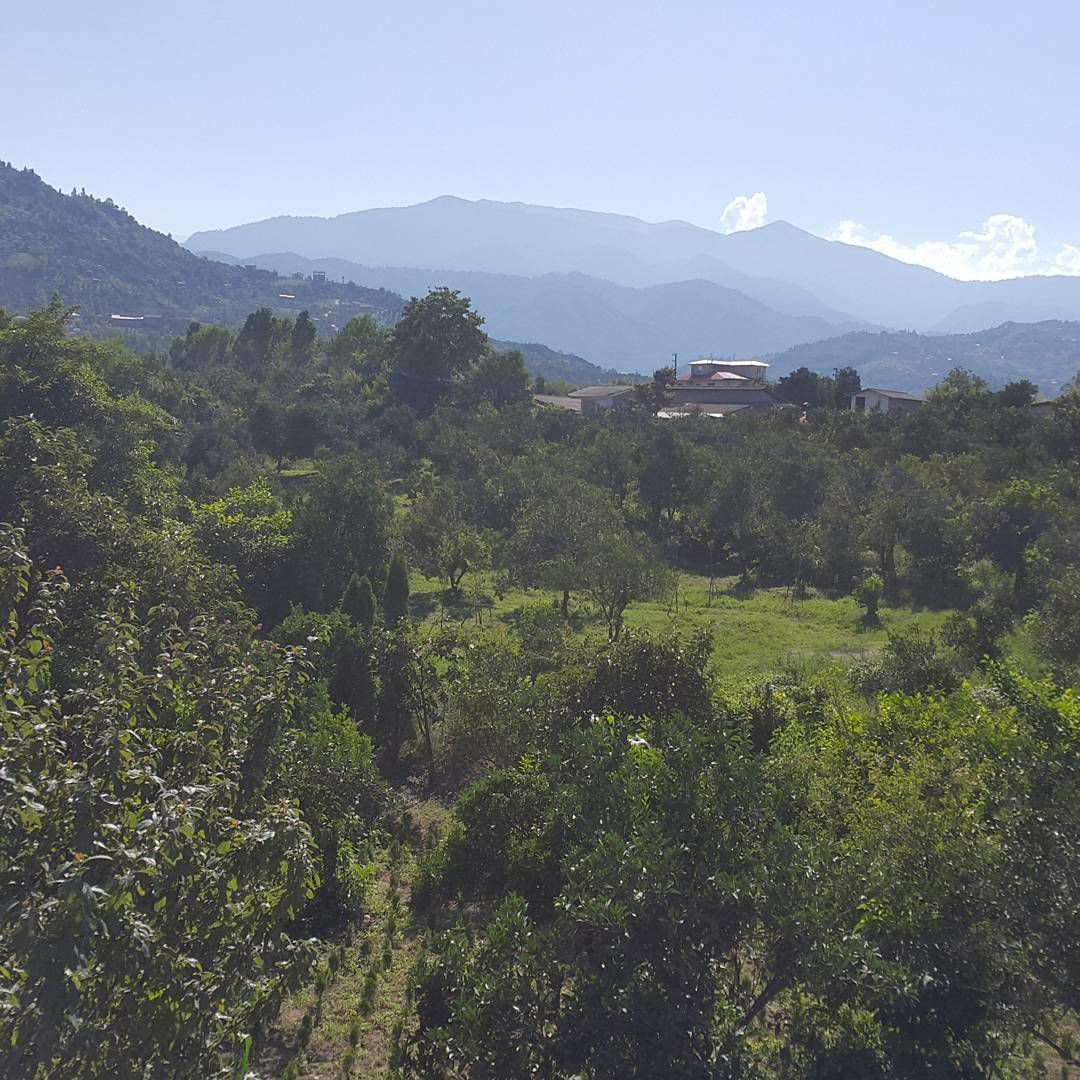 اجاره باغ ویلا در هریس رامسر - شونیشت