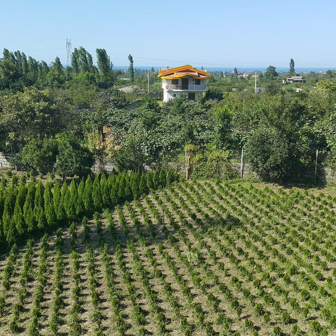 اجاره باغ ویلا در هریس رامسر - شونیشت