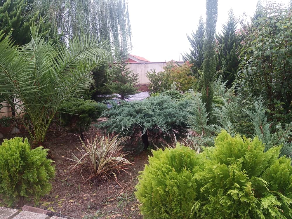 اجاره ویلا نیم دوبلکس در چمستان مازندران