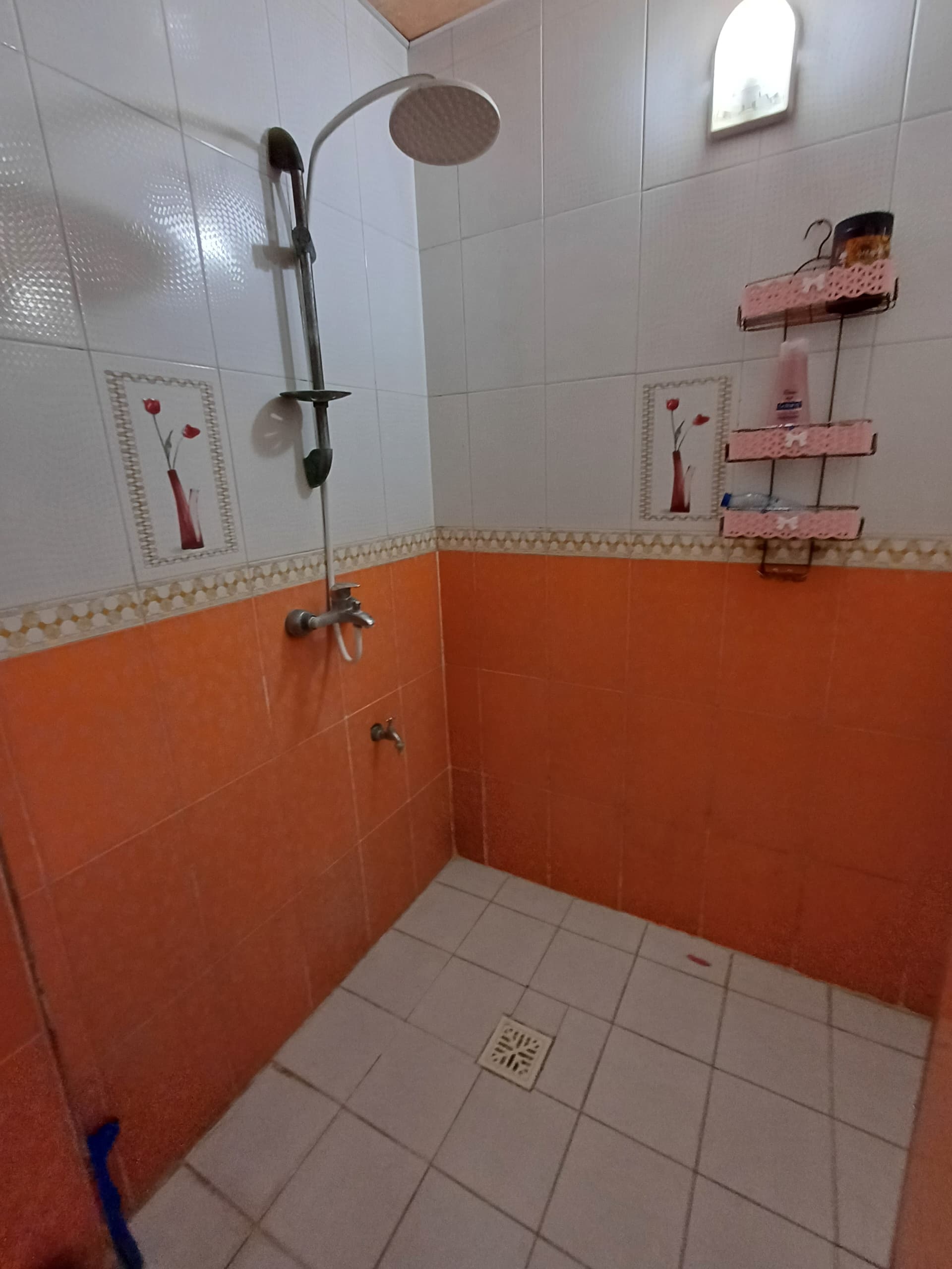 اجاره آپارتمان مبله در بندر گناوه