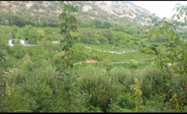 اجاره خانه باغ در سی سخت (سیسخت) - یاسوج