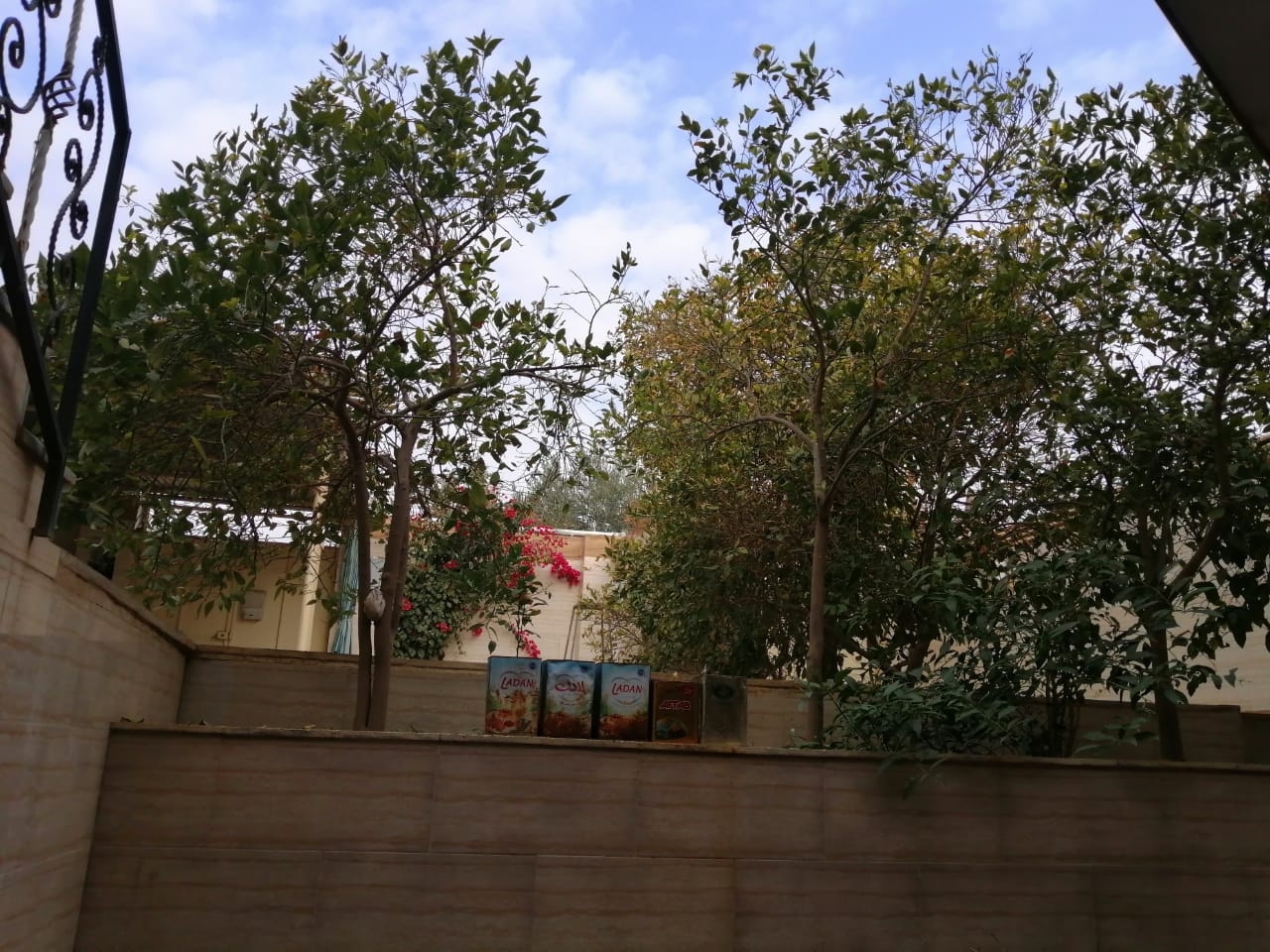 اجاره منزل مبله در شهرک زیباشهر طبس - 65