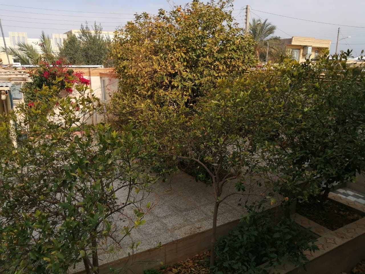 اجاره منزل مبله در شهرک زیباشهر طبس - 65