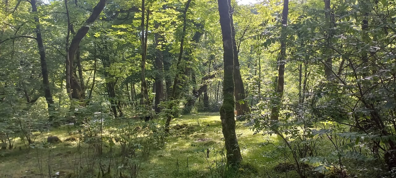 ویلا در وشمه سرا ماسال - خاطره