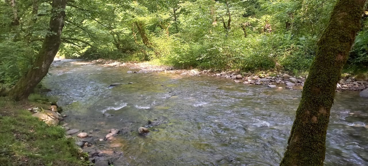 ویلا در وشمه سرا ماسال - خاطره